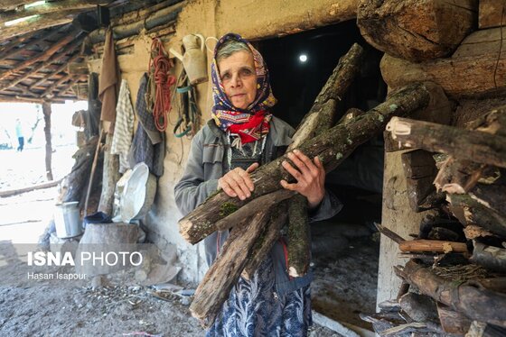 گزارش تصویری | دامداری سنتی گالش مِنزل - سوادکوه