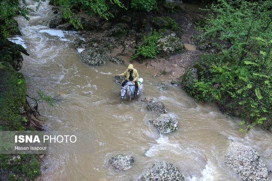 گزارش تصویری | دامداری سنتی گالش مِنزل - سوادکوه