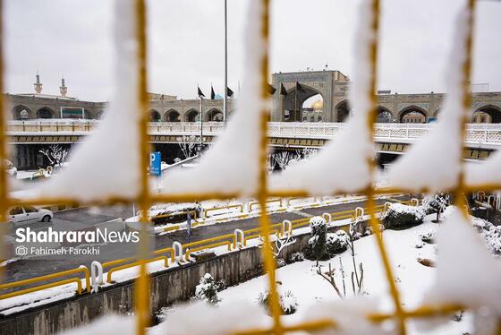 گزارش تصویری | بارش زیبای برف در مشهد