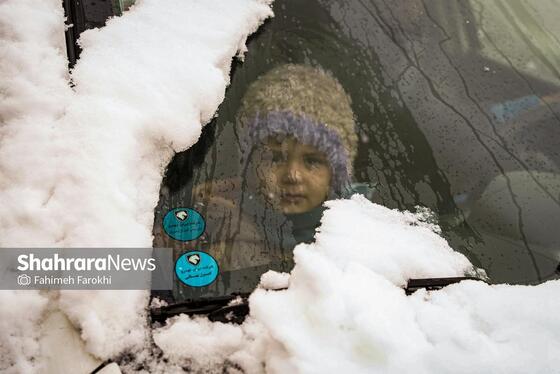 گزارش تصویری | بارش زیبای برف در مشهد
