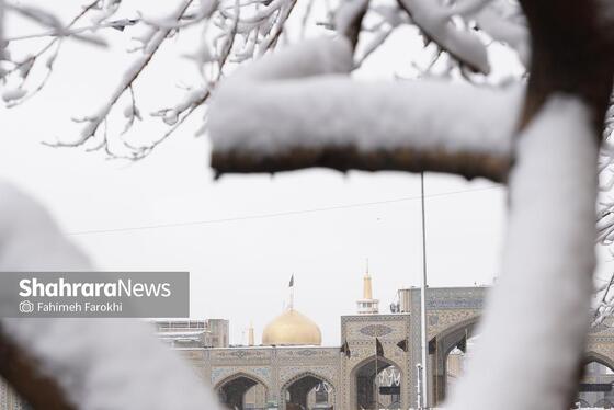 گزارش تصویری | بارش زیبای برف در مشهد