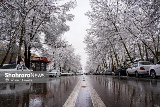 گزارش تصویری | بارش زیبای برف در مشهد