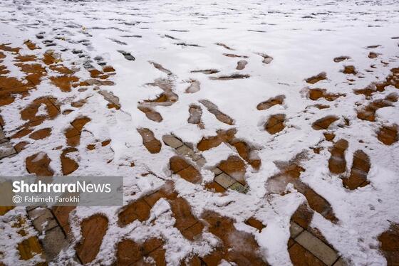 گزارش تصویری | بارش زیبای برف در مشهد