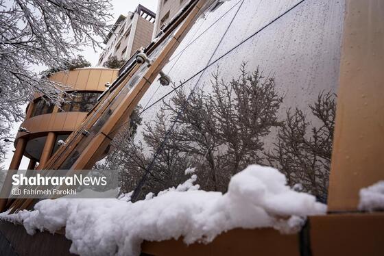 گزارش تصویری | بارش زیبای برف در مشهد