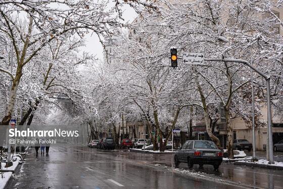 گزارش تصویری | بارش زیبای برف در مشهد