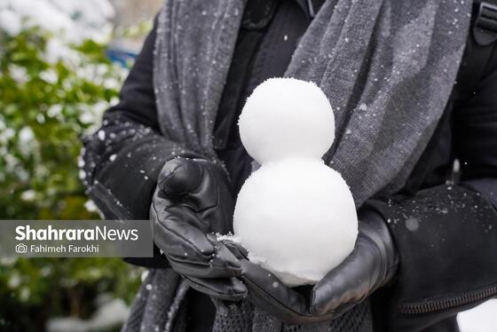 گزارش تصویری | بارش زیبای برف در مشهد