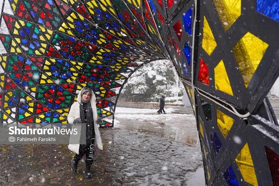 گزارش تصویری | بارش زیبای برف در مشهد