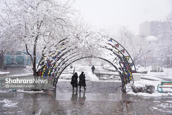 گزارش تصویری | بارش زیبای برف در مشهد