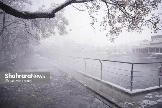 گزارش تصویری | بارش زیبای برف در مشهد