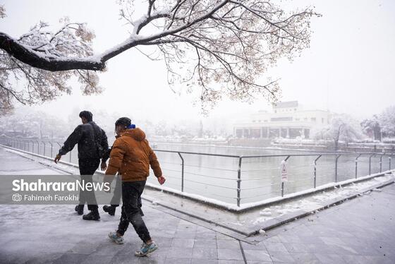 گزارش تصویری | بارش زیبای برف در مشهد