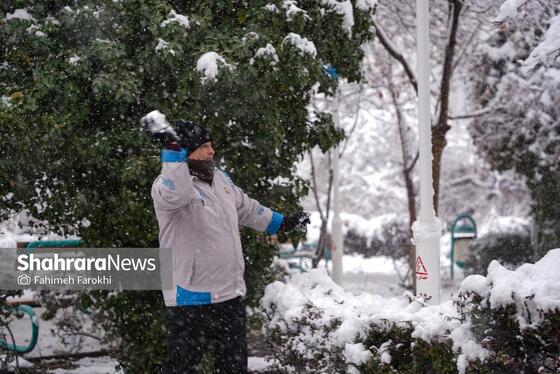 گزارش تصویری | بارش زیبای برف در مشهد