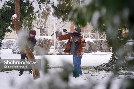 گزارش تصویری | بارش زیبای برف در مشهد