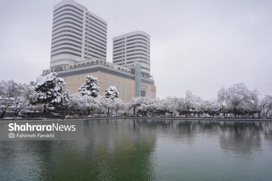 گزارش تصویری | بارش زیبای برف در مشهد