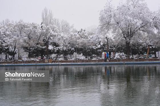 گزارش تصویری | بارش زیبای برف در مشهد