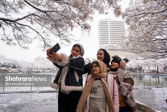 گزارش تصویری | بارش زیبای برف در مشهد