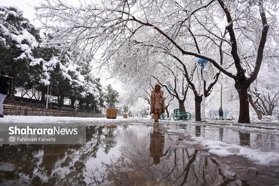 گزارش تصویری | بارش زیبای برف در مشهد