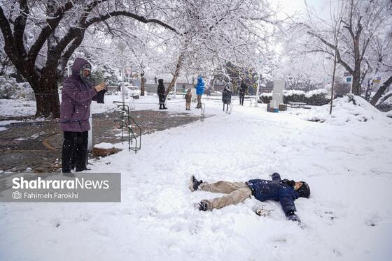 گزارش تصویری | بارش زیبای برف در مشهد