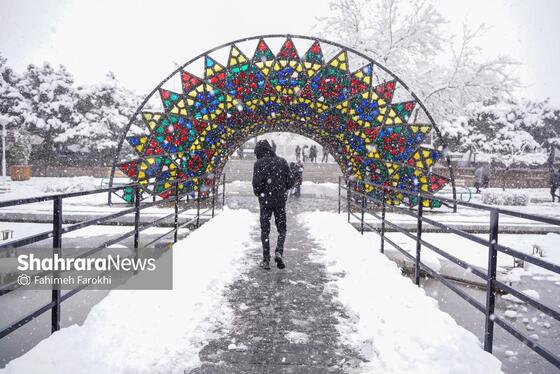 گزارش تصویری | بارش زیبای برف در مشهد