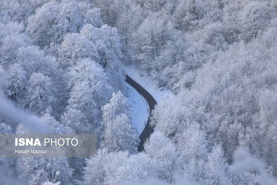 گزارش تصویری | بارش برف زمستانی در سوادکوه - مازندران