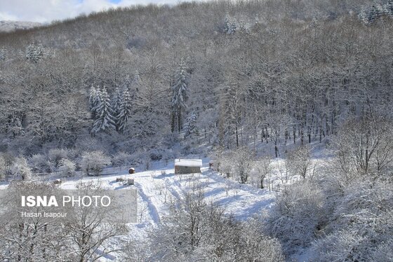گزارش تصویری | بارش برف زمستانی در سوادکوه - مازندران