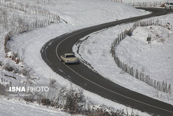 گزارش تصویری | بارش برف زمستانی در سوادکوه - مازندران