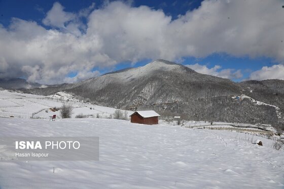 گزارش تصویری | بارش برف زمستانی در سوادکوه - مازندران