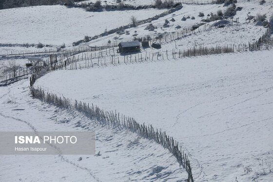 گزارش تصویری | بارش برف زمستانی در سوادکوه - مازندران