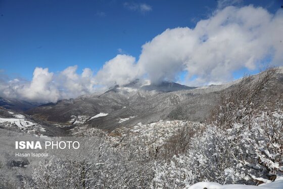 گزارش تصویری | بارش برف زمستانی در سوادکوه - مازندران