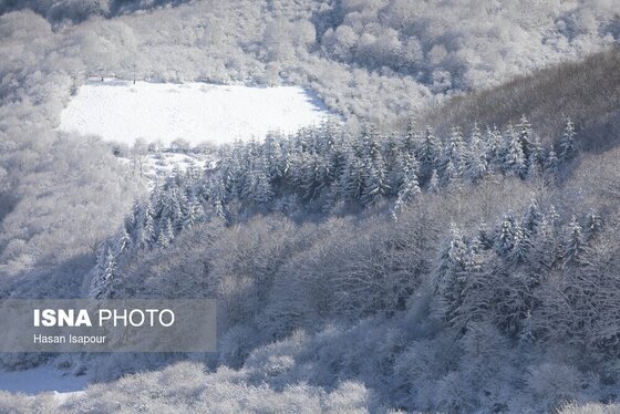 گزارش تصویری | بارش برف زمستانی در سوادکوه - مازندران