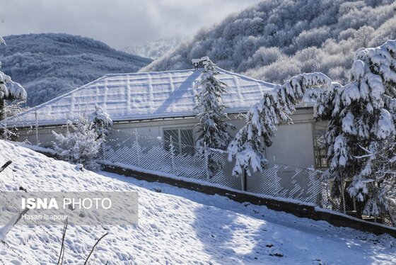 گزارش تصویری | بارش برف زمستانی در سوادکوه - مازندران