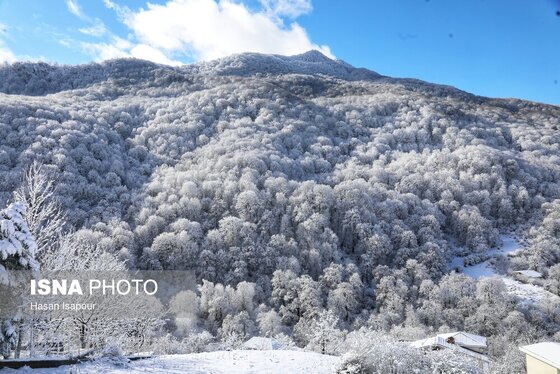 گزارش تصویری | بارش برف زمستانی در سوادکوه - مازندران