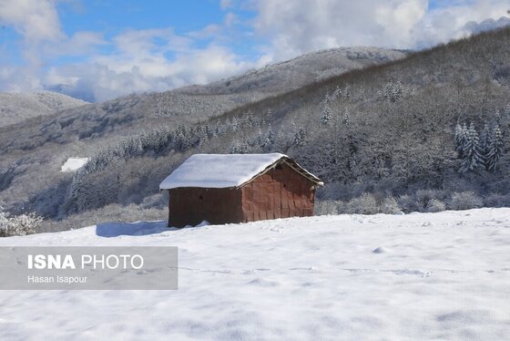 گزارش تصویری | بارش برف زمستانی در سوادکوه - مازندران