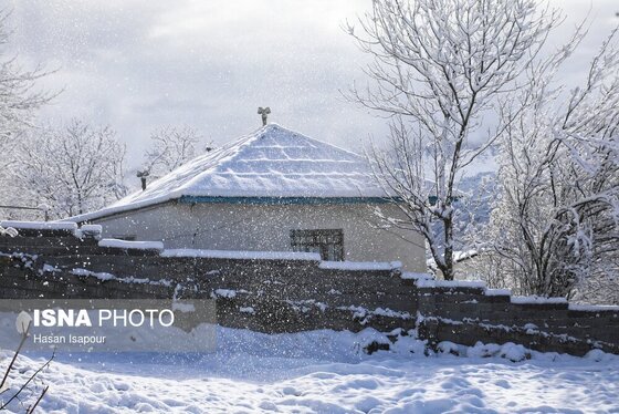 گزارش تصویری | بارش برف زمستانی در سوادکوه - مازندران