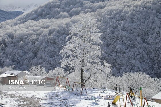 گزارش تصویری | بارش برف زمستانی در سوادکوه - مازندران