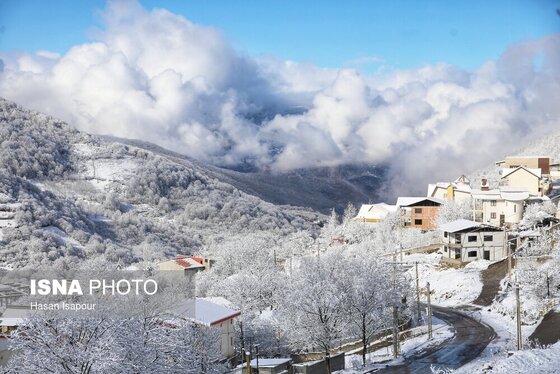 گزارش تصویری | بارش برف زمستانی در سوادکوه - مازندران