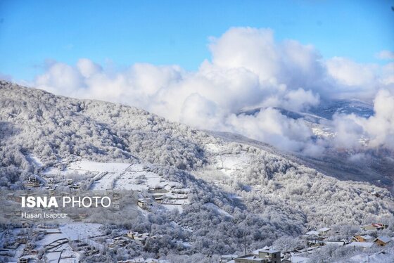 گزارش تصویری | بارش برف زمستانی در سوادکوه - مازندران