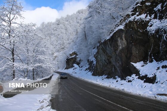گزارش تصویری | بارش برف زمستانی در سوادکوه - مازندران