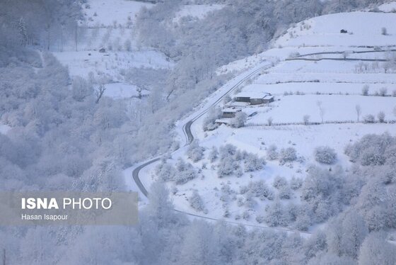 گزارش تصویری | بارش برف زمستانی در سوادکوه - مازندران
