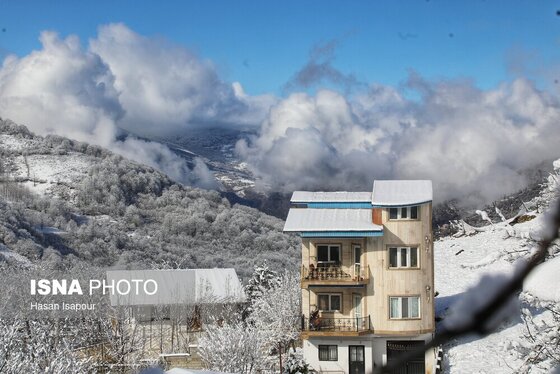 گزارش تصویری | بارش برف زمستانی در سوادکوه - مازندران