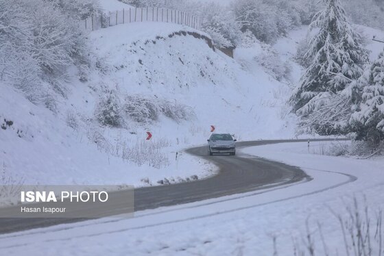 گزارش تصویری | بارش برف زمستانی در سوادکوه - مازندران