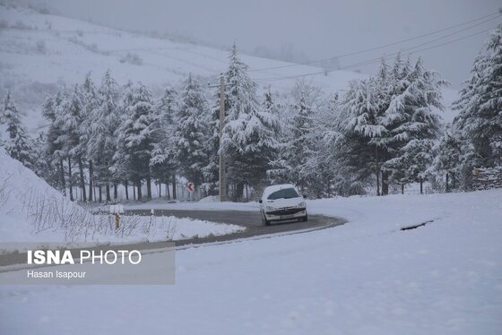 گزارش تصویری | بارش برف زمستانی در سوادکوه - مازندران