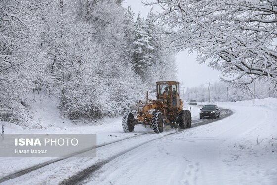 گزارش تصویری | بارش برف زمستانی در سوادکوه - مازندران