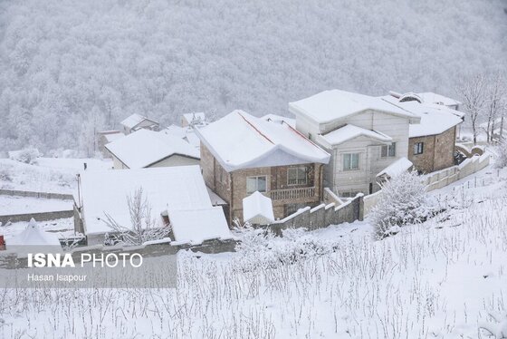 گزارش تصویری | بارش برف زمستانی در سوادکوه - مازندران
