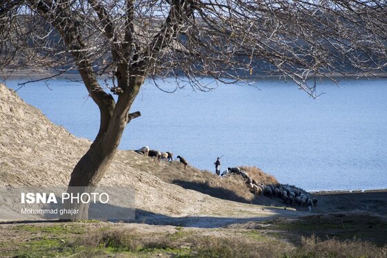 گزارش تصویری | سدهای تشنه استان گلستان - دی ماه ۱۴۰۴