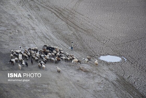 گزارش تصویری | سدهای تشنه استان گلستان - دی ماه ۱۴۰۴