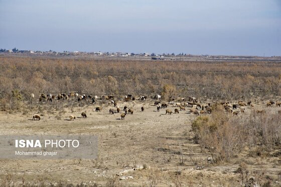 گزارش تصویری | سدهای تشنه استان گلستان - دی ماه ۱۴۰۴