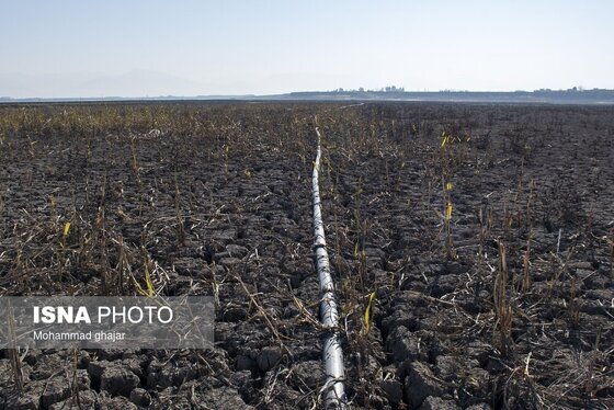 گزارش تصویری | سدهای تشنه استان گلستان - دی ماه ۱۴۰۴