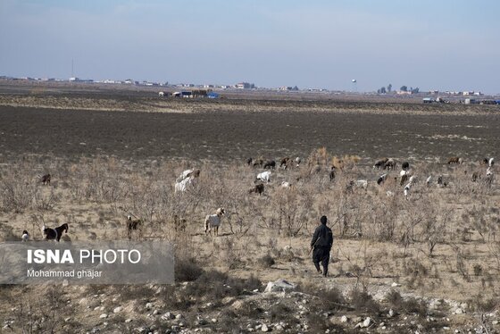گزارش تصویری | سدهای تشنه استان گلستان - دی ماه ۱۴۰۴