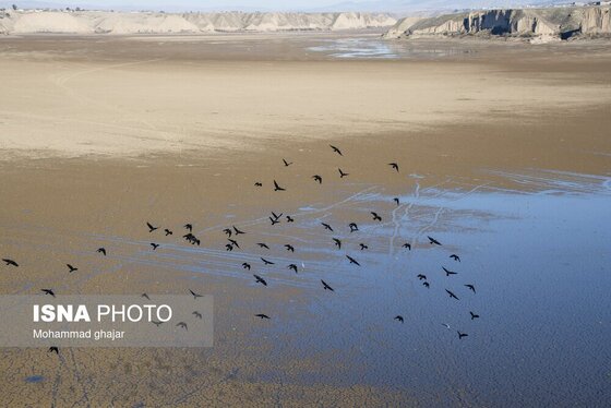 گزارش تصویری | سدهای تشنه استان گلستان - دی ماه ۱۴۰۴
