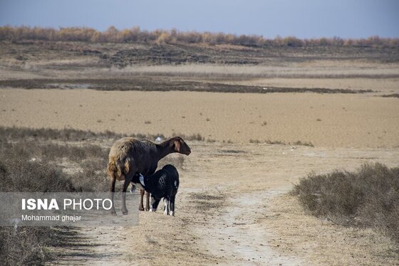 گزارش تصویری | سدهای تشنه استان گلستان - دی ماه ۱۴۰۴